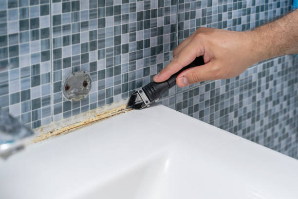 Best Industrial Mold Remediation in Mino, CA